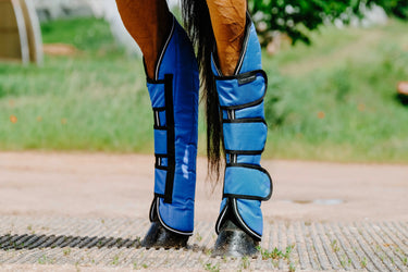 Equithème - Tyrex Aisance 1200D - Shipping Boots| Online For Equine