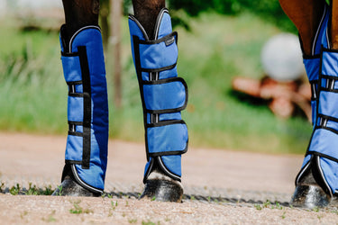 Equithème - Tyrex Aisance 1200D - Shipping Boots| Online For Equine
