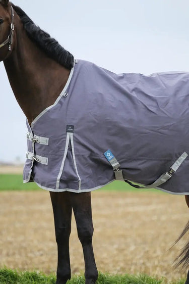 Buy Equitheme Tyrex Recycled 0G Standard Neck Turnout Rug| Online for Equine