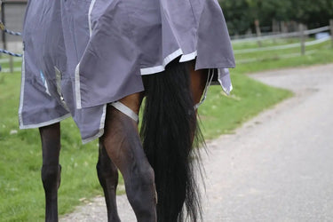 Buy Equitheme Tyrex Recycled 0G Standard Neck Turnout Rug| Online for Equine