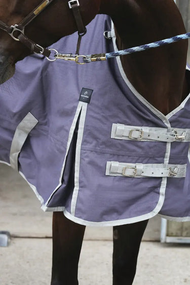 Buy Equitheme Tyrex Recycled 0G Standard Neck Turnout Rug| Online for Equine