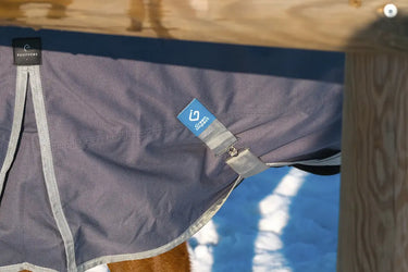 Buy Equitheme Tyrex Recycled 150G Standard Neck Turnout Rug| Online for Equine