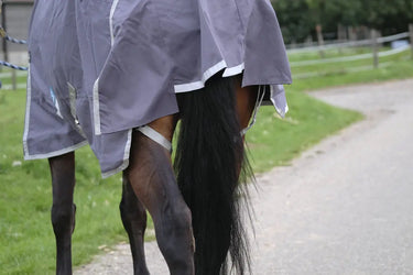 Buy Equitheme Tyrex Recycled 150G Standard Neck Turnout Rug| Online for Equine