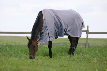 Buy Equitheme Tyrex Recycled 150G Standard Neck Turnout Rug| Online for Equine