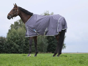 Buy Equitheme Tyrex Recycled 50G Standard Neck Turnout Rug| Online for Equine