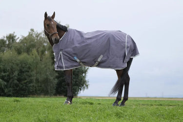 Buy Equitheme Tyrex Recycled 50G Standard Neck Turnout Rug| Online for Equine