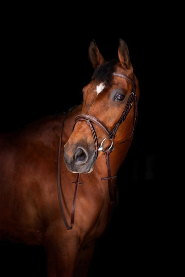 Eric Thomas Elite Hunter Reins 16 Mm