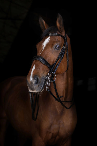 Eric Thomas Elite Plain Reins 16 Mm| Online For Equine