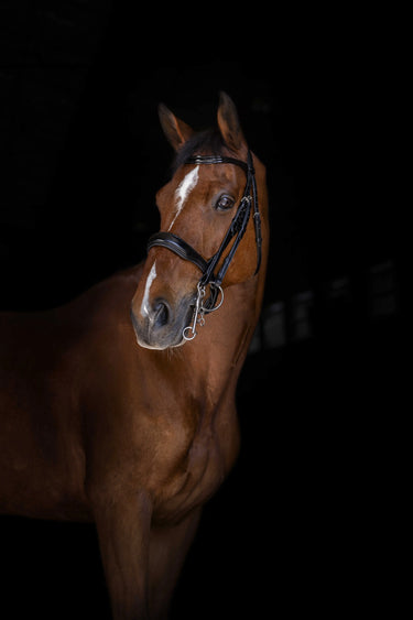 Eric Thomas Elite Weymouth Bridle| Online For Equine