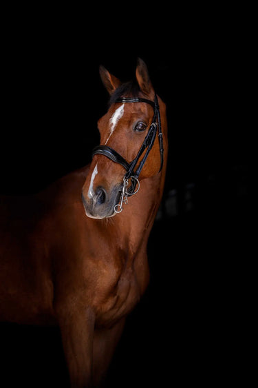 Eric Thomas Elite Weymouth Bridle| Online For Equine