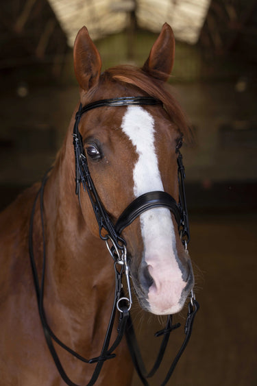Eric Thomas Elite Weymouth Bridle| Online For Equine