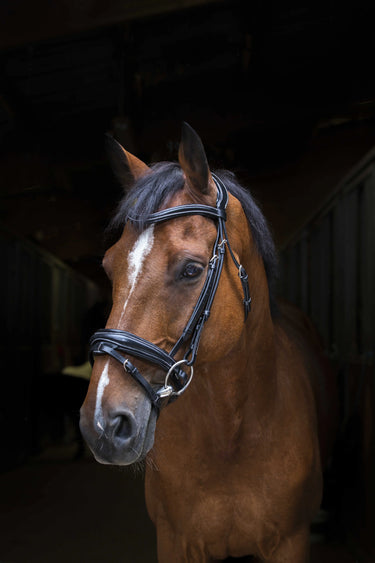 Eric Thomas Pro - Design - Bridle| Online For Equine