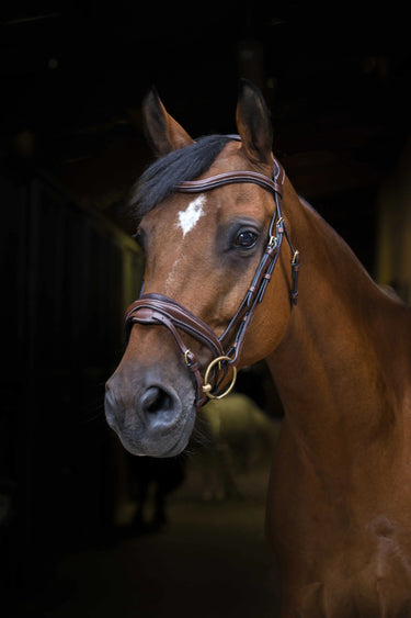 Eric Thomas Pro - Design - Bridle| Online For Equine