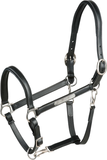 Eric Thomas Pro Leather Grooming Headcollar| Online For Equine