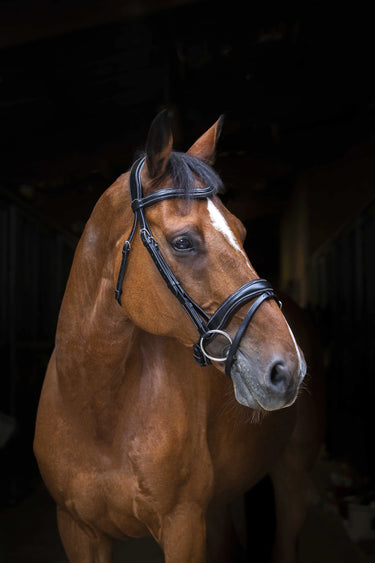 Eric Thomas Pro - Wave - Bridle| Online For Equine