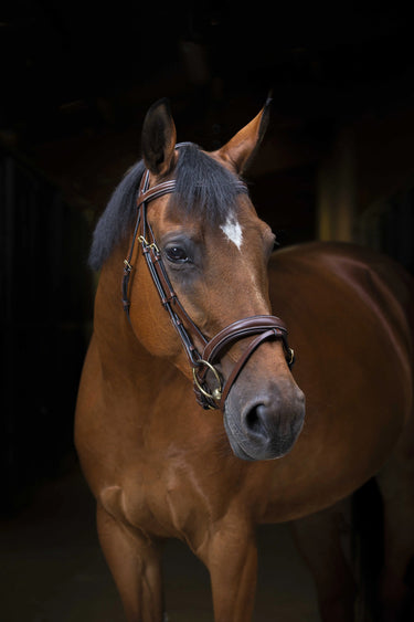 Eric Thomas Pro - Wave - Bridle| Online For Equine