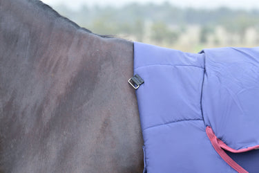 Weatherbeeta Comfitec Essential Turnout Combo 50G Navy/ Burgundy