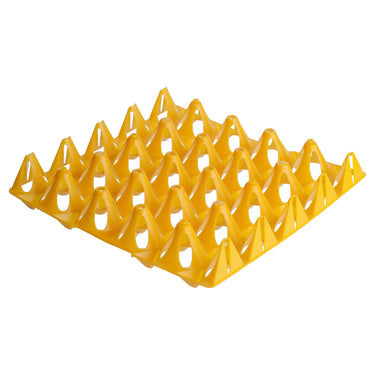 Eton Plastic Keyes Tray 20 Eggs| Online For Equine