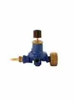 Express Calor Regulator| Online For Equine
