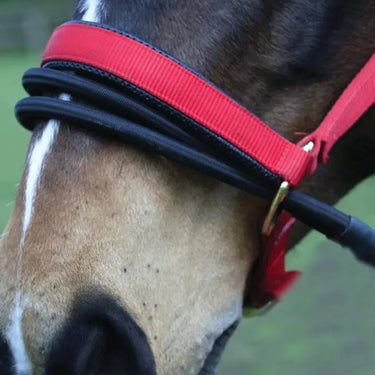 Ezyloader| Online For Equine