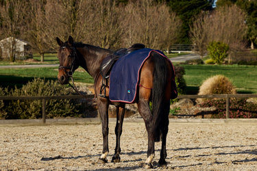 Weatherbeeta Essential Fleece Lined Quarter Sheet
