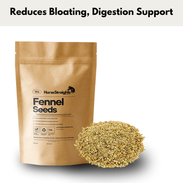 Fennel Seeds| Online For Equine