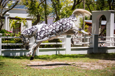 Buy Equilibrium Field Relief Fly Rug | Online for Equine