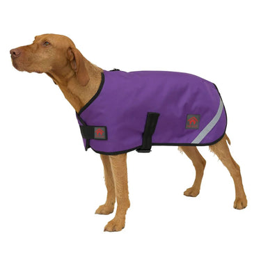 Buy Firefoot Outdoor Dog Coat With Fleecy Lining Purple | Online for Equine