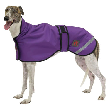 Buy Firefoot Outdoor Sighthound Coat With Fleecy Lining Purple | Online for Equine