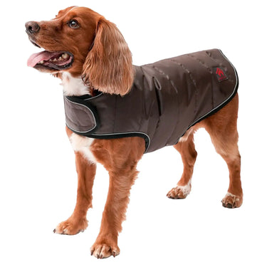 Buy Firefoot Quilted Dog Coat Brown | Online for Equine