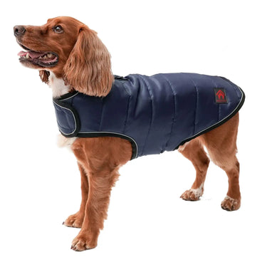 Buy Firefoot Quilted Dog Coat Navy | Online for Equine
