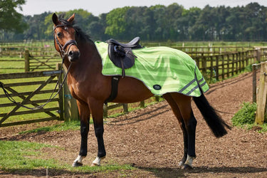 Buy Firefoot Reflective Exercise Sheet Reflective | Online for Equine