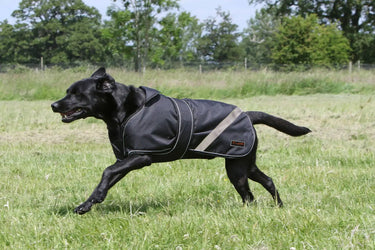 Buy Firefoot Waterproof 2-In-1 Dog Coat Reflective Black | Online for Equine