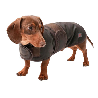Buy Firefoot Waxed Dachshund Coat | Online for Equine