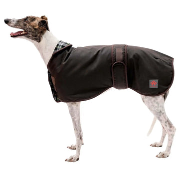 Buy Firefoot Waxed Sighthound Coat | Online for Equine