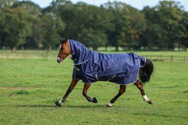 Bucas Freedom Turnout 300g/150g Full Neck Rug