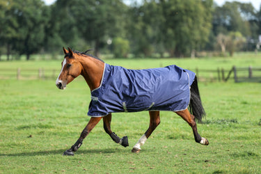 Bucas Freedom Turnout 150g High Neck Rug