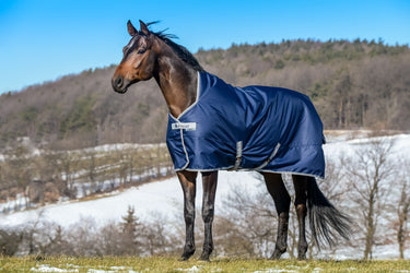 Bucas Freedom Turnout Light High Neck Rug