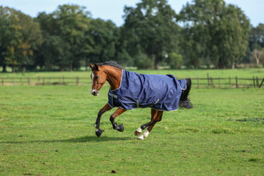 Bucas Freedom Turnout Light High Neck Rug