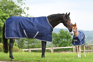 Bucas Freedom Turnout 150g Horse Rug