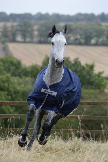Bucas Freedom Turnout Light Horse Rug