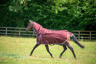 Buy Gallop Trojan Xtra 350g Turnout Rug Combo| Online for Equine