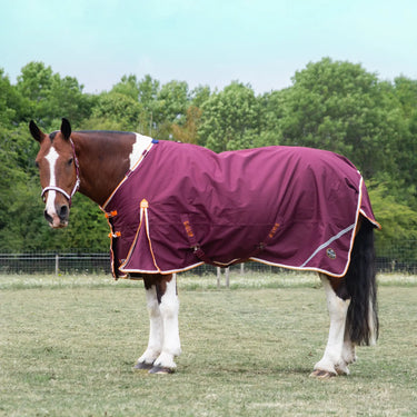 Gallop 1200D Trojan Xtra 100g Duraproof 5-Point Turnout| Online For Equine