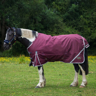 Gallop 1200D Trojan Xtra 50g Duraproof 5-Point Turnout| Online For Equine