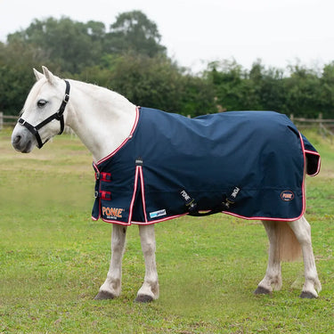 Gallop 600D Ponie 200g Duraproof 5-Point Turnout| Online For Equine