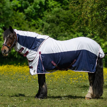 Gallop Air Mesh Dual Summer Sheet| Online For Equine