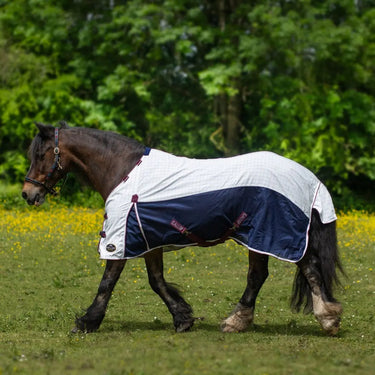 Gallop Air Mesh Dual Summer Sheet| Online For Equine