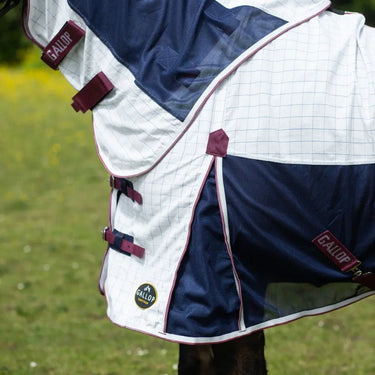 Gallop Air Mesh Dual Summer Sheet| Online For Equine