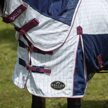 Gallop Air Mesh Dual Summer Sheet| Online For Equine