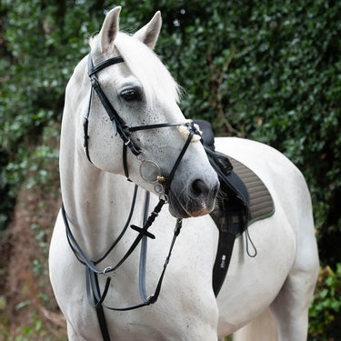 Gallop Breast Plate Martingale| Online For Equine